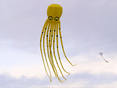 Bild "octopus.jpg"